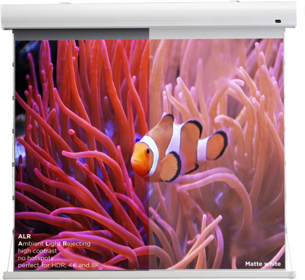 celexon HomeCinema hoogcontrast projectiescherm Tension 298 x 168 cm 135" - Dynamic Slate ALR – Image 6