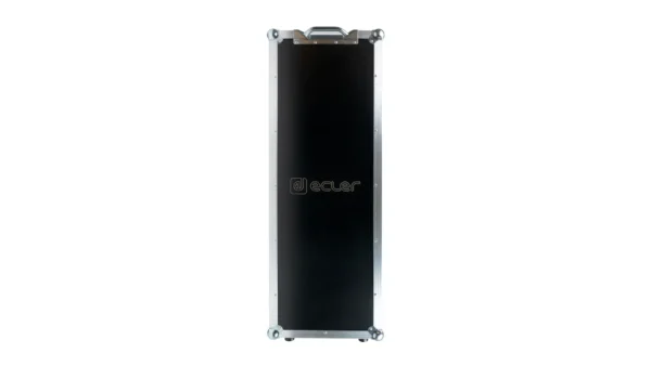 LABI1-CFC 2xLABI1-C100i Flight case – Image 2