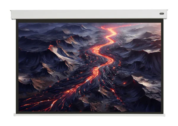 celexon PRO Plus V2.0 160 x 120 cm motorized battery projection screen