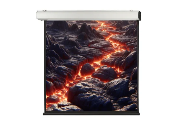 celexon Expert XL 300 x 300 cm motorized projection screen