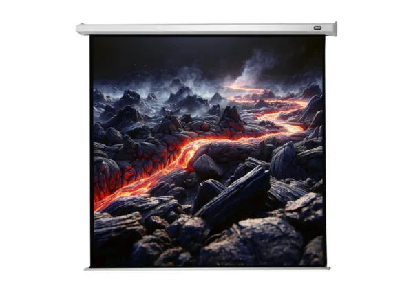 Celexon Economy 120 x 120 cm motorized projection screen
