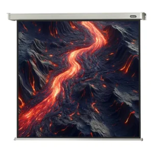 celexon PRO 120 x 120 cm motorized projection screen