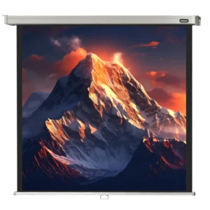 celexon PRO 120 x 120 cm manual projection screen