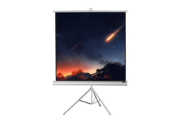 Celexon Economy floor-standing projection screen 133 x 133 cm - White Edition